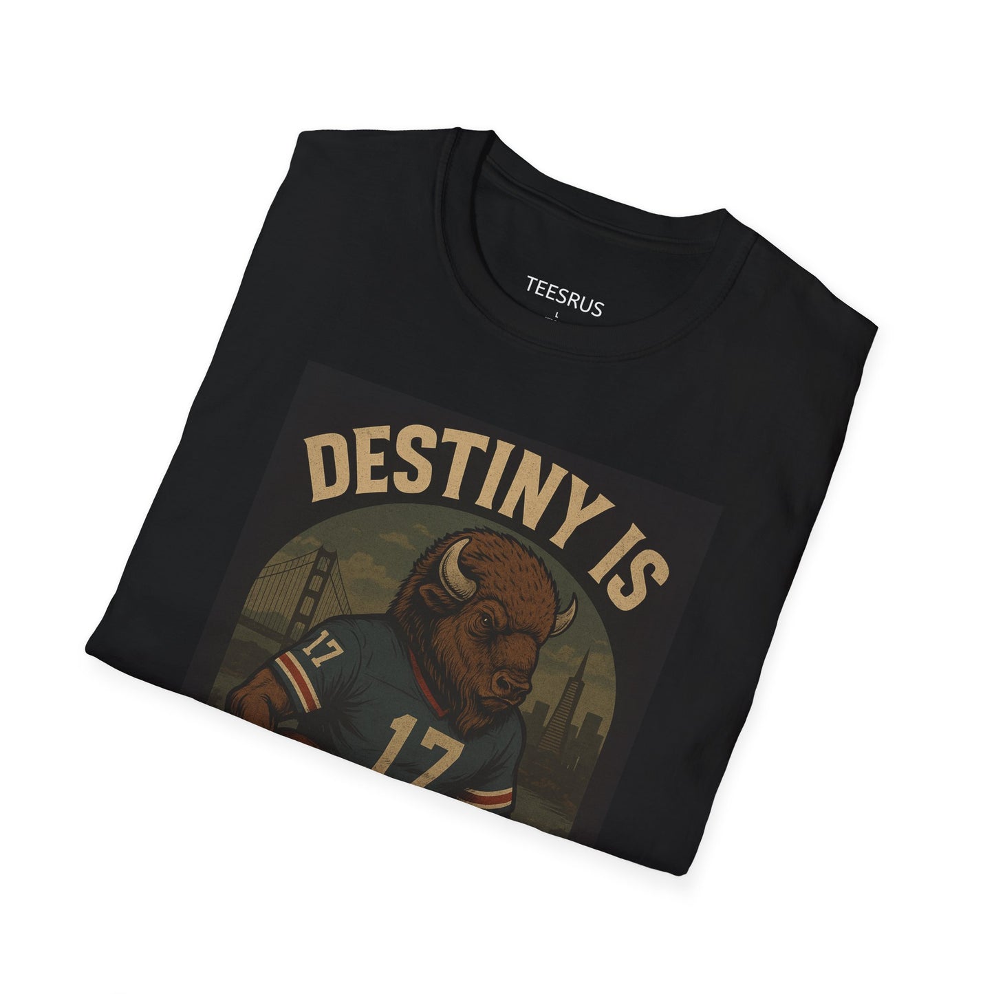 Buffalo Football Tshirt