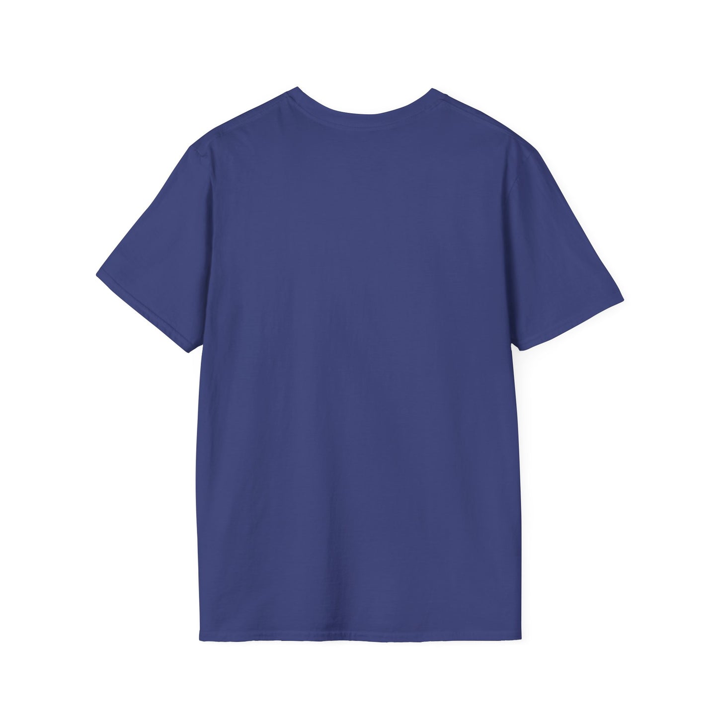 Buffalo Wearing Buffalo in the Summer