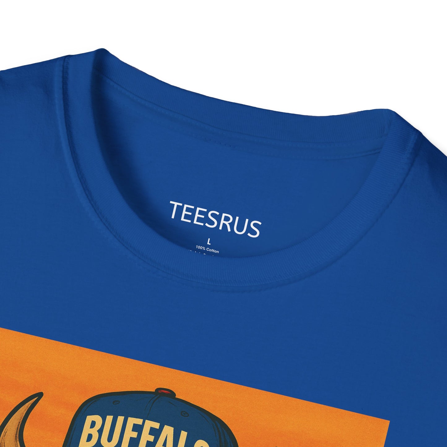 Buffalo Wearing Buffalo in the Summer