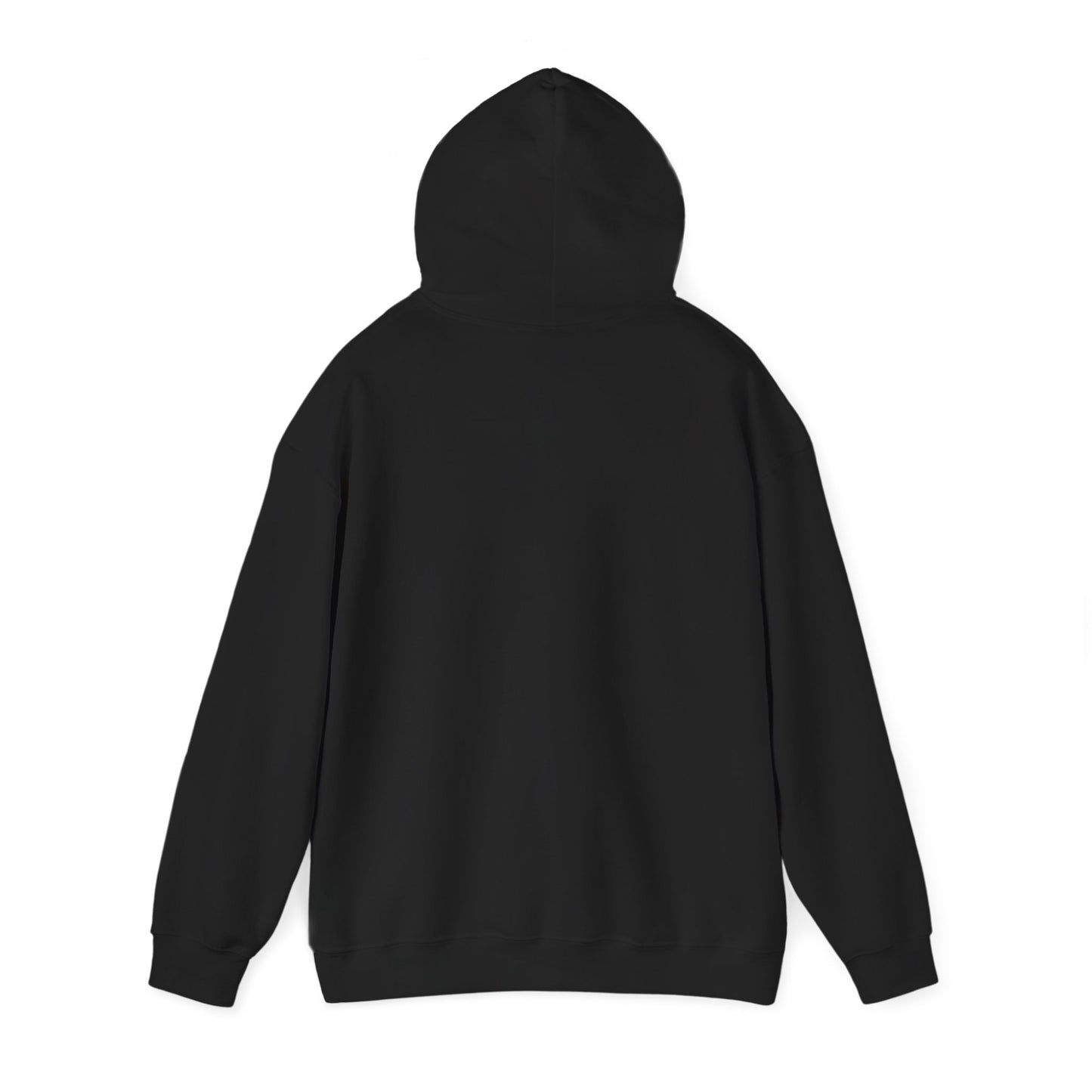 Buffalo Football Nickel City Hoodie | Vintage Embroidered Buffalo Football Hooded Sweatshirt