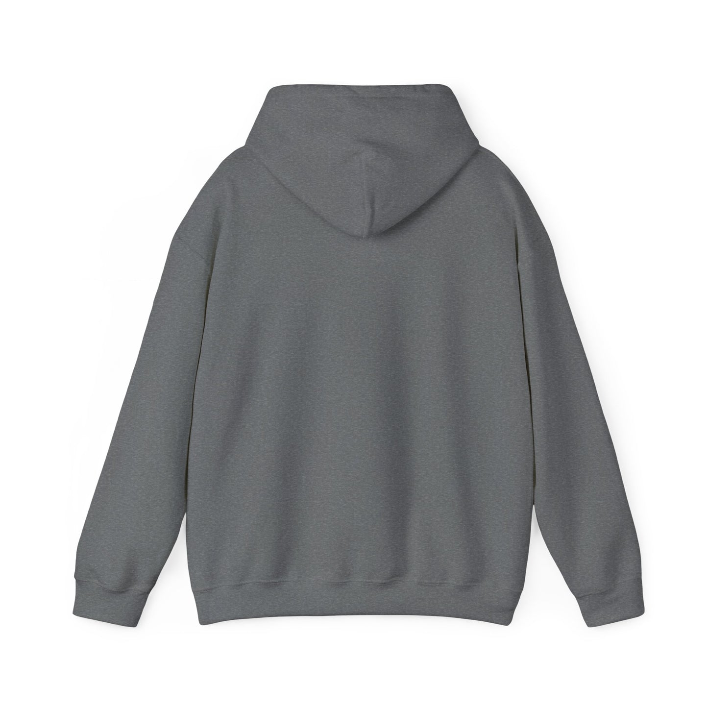 Buffalo Football Nickel City Hoodie | Vintage Embroidered Buffalo Football Hooded Sweatshirt