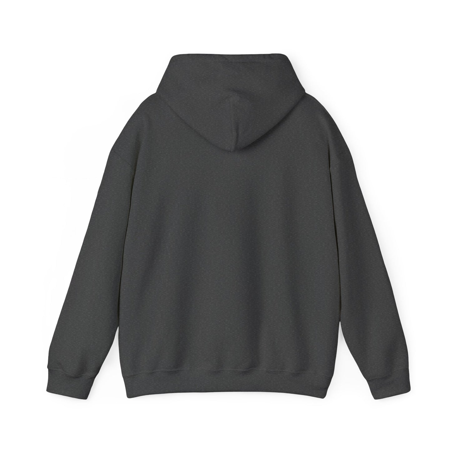 Buffalo Football Nickel City Hoodie | Vintage Embroidered Buffalo Football Hooded Sweatshirt