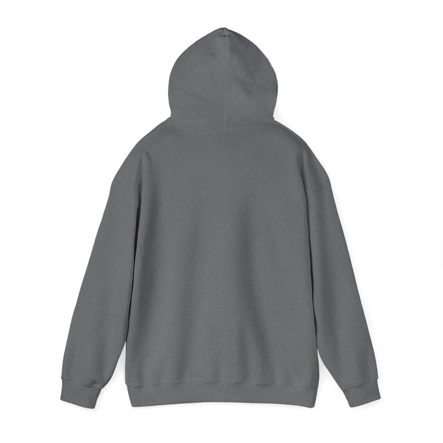 Buffalo Football Nickel City Hoodie | Vintage Embroidered Buffalo Football Hooded Sweatshirt