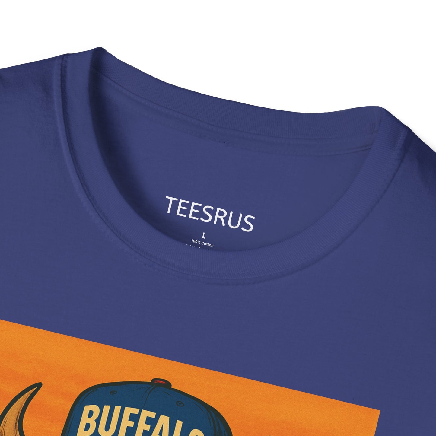 Buffalo Wearing Buffalo in the Summer