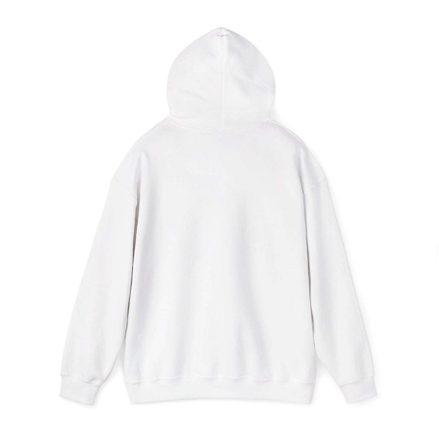 Nickel City Stripe Hoodie | Buffalo Nickel City Sweatshirt | Buffalo Football Hoodie | Buffalo NY Apparel