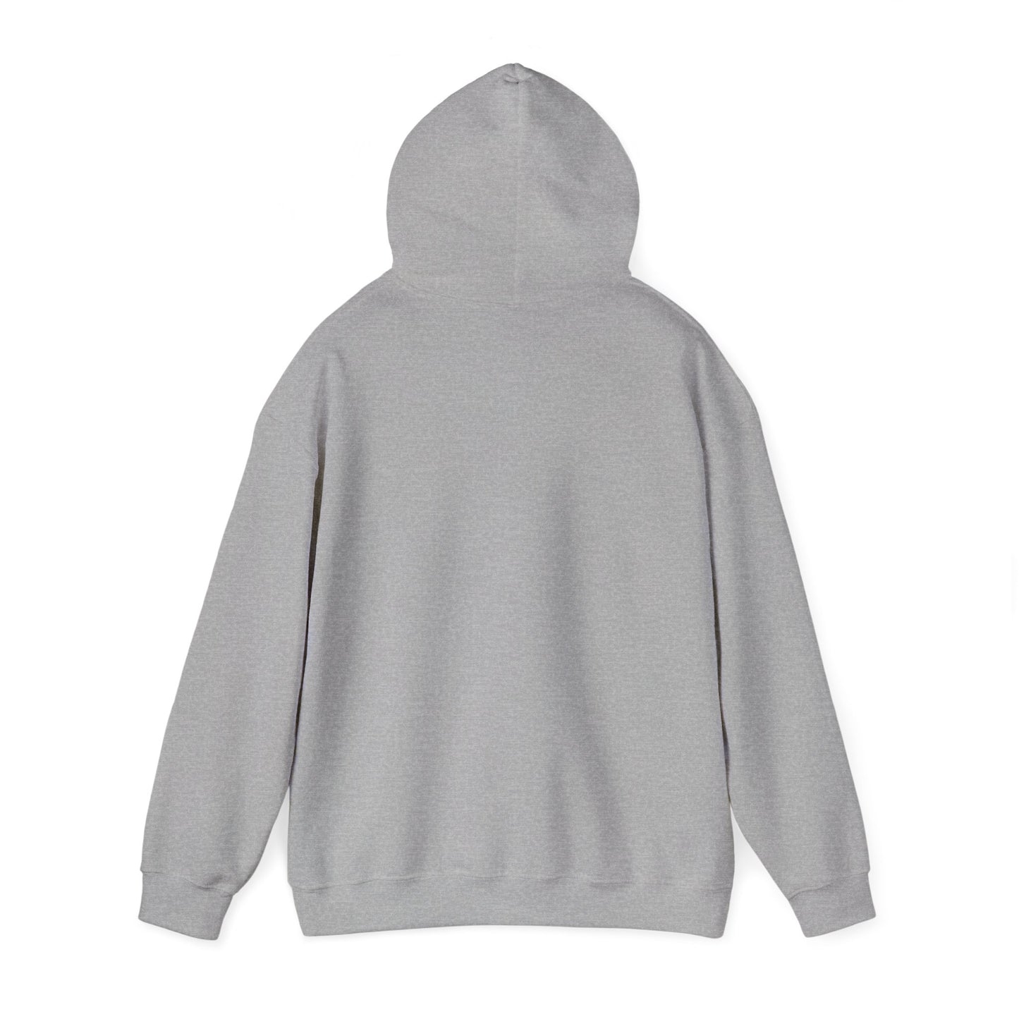 Buffalo Football Nickel City Hoodie | Vintage Embroidered Buffalo Football Hooded Sweatshirt
