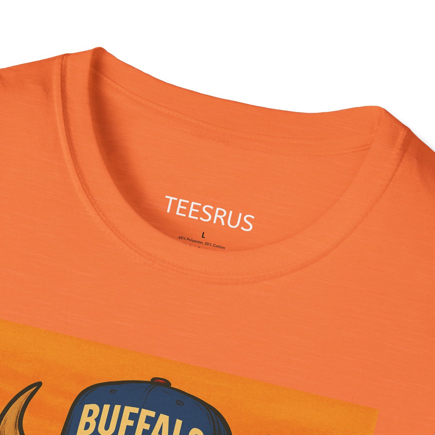 Buffalo Wearing Buffalo in the Summer