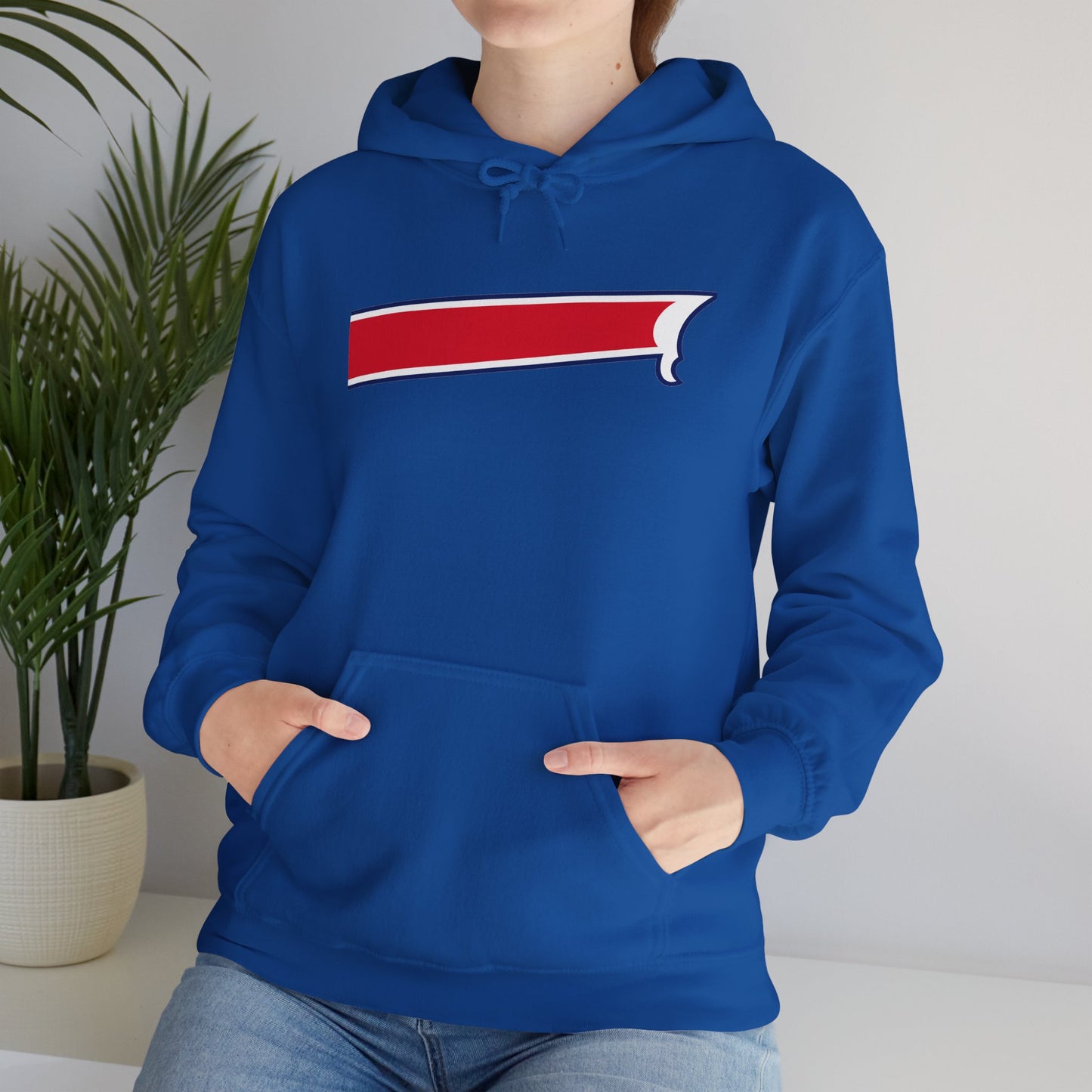 Nickel City Stripe Hoodie | Buffalo Nickel City Sweatshirt | Buffalo Football Hoodie | Buffalo NY Apparel