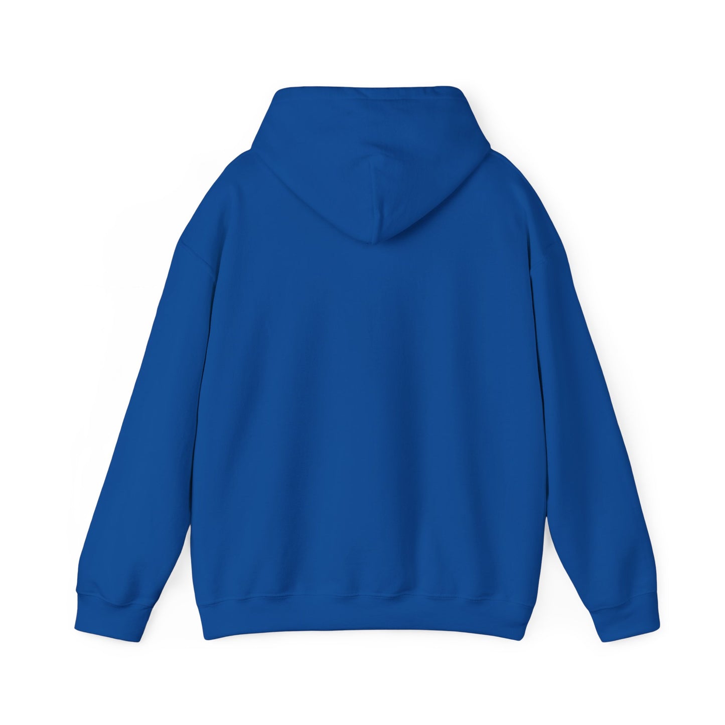 Nickel City Stripe Hoodie | Buffalo Nickel City Sweatshirt | Buffalo Football Hoodie | Buffalo NY Apparel