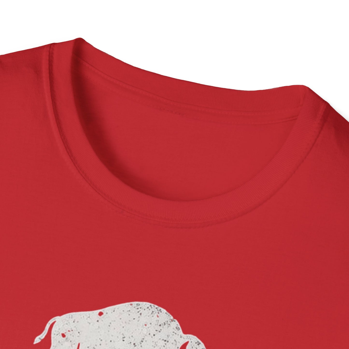 Buffalo Polish T-Shirt — Vintage Polish Pride Tee