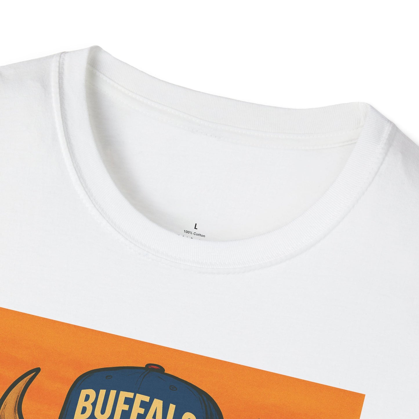 Buffalo Wearing Buffalo in the Summer