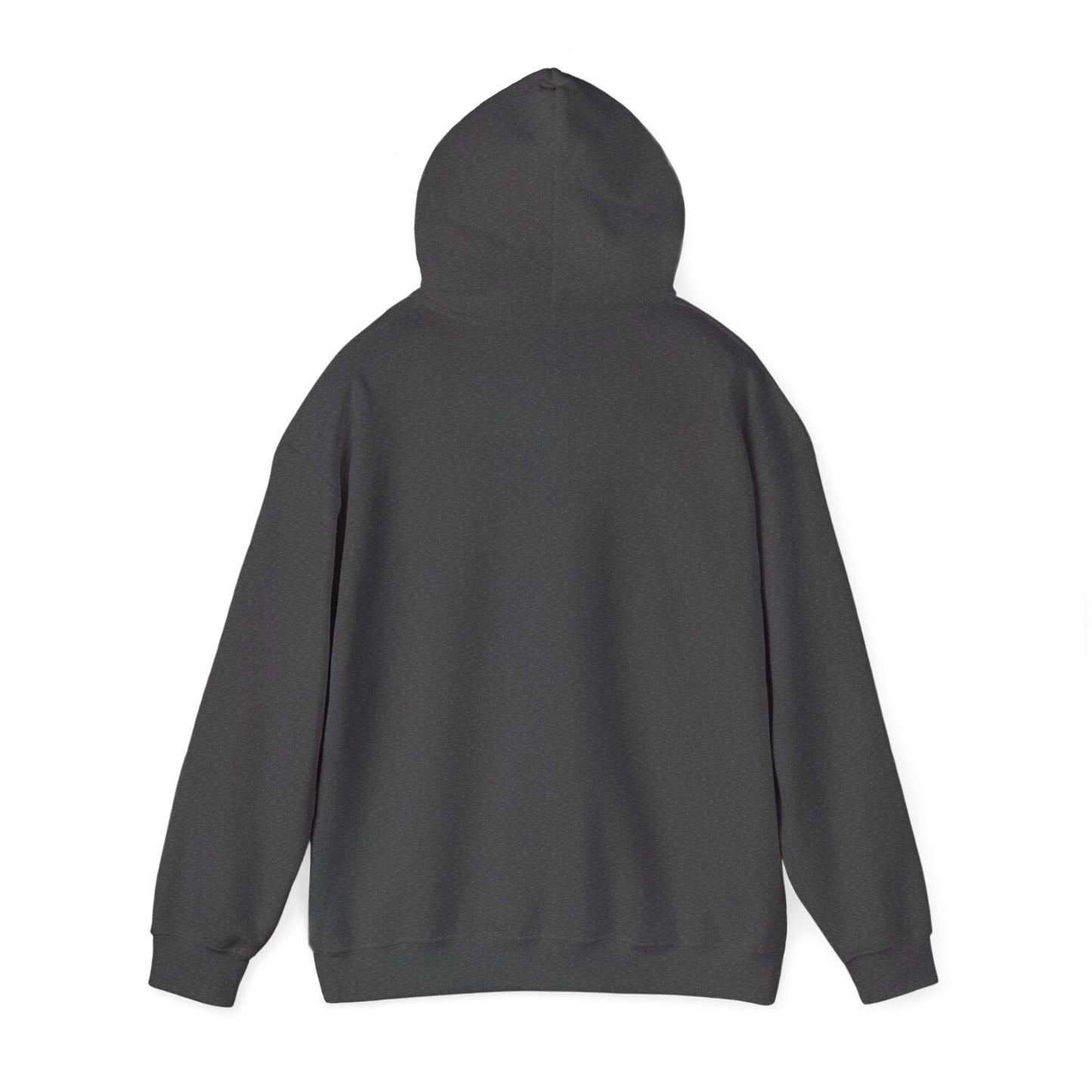 Buffalo Football Nickel City Hoodie | Vintage Embroidered Buffalo Football Hooded Sweatshirt