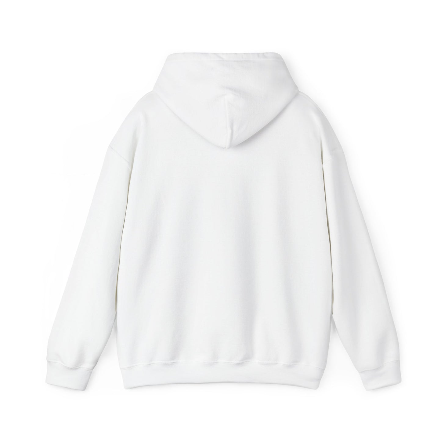 Buffalo Football Nickel City Hoodie | Vintage Embroidered Buffalo Football Hooded Sweatshirt