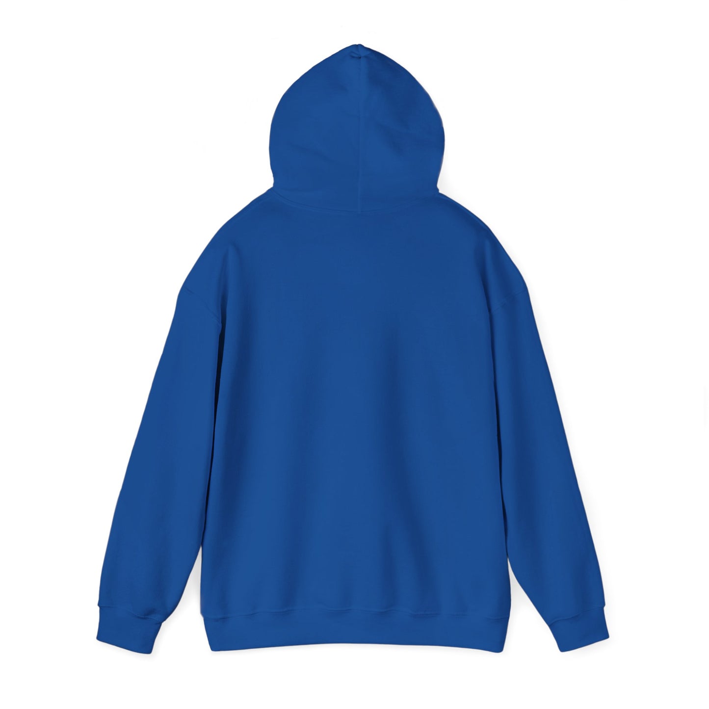 Nickel City Stripe Hoodie | Buffalo Nickel City Sweatshirt | Buffalo Football Hoodie | Buffalo NY Apparel