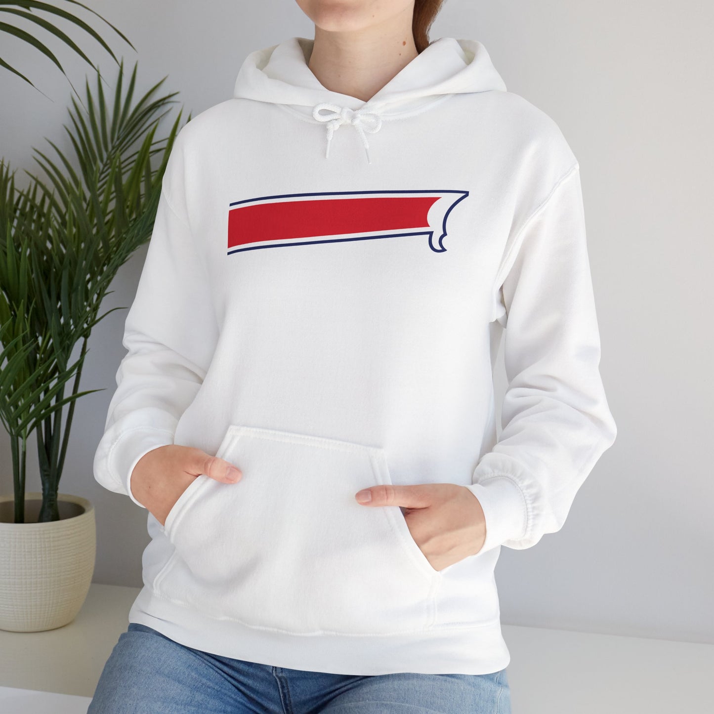 Nickel City Stripe Hoodie | Buffalo Nickel City Sweatshirt | Buffalo Football Hoodie | Buffalo NY Apparel